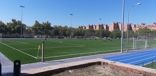 Agrupación Deportiva Madrid Sur
