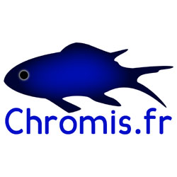 Chromis.fr