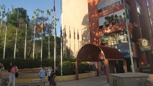 Comisión Europea, Representación en España