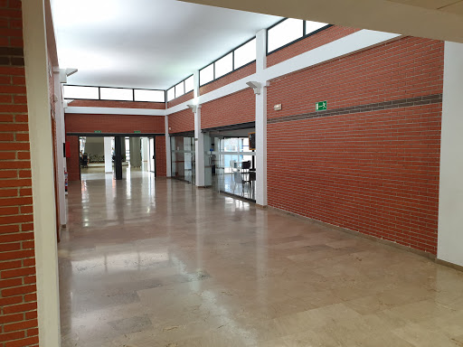 Centro Municipal de Juventud Trafalgar