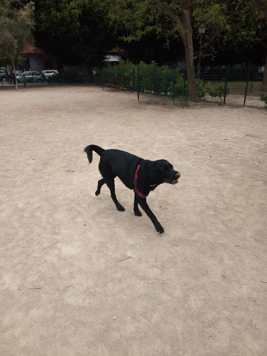 Parque para perros Plaça d'Enric Granados
