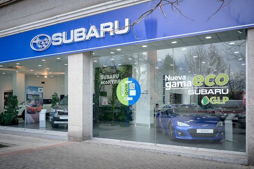 Subaru - Trade Gamboa