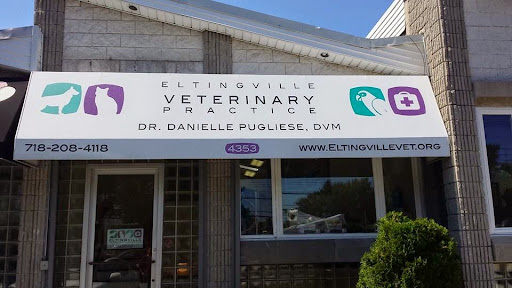 Eltingville Veterinary Practice
