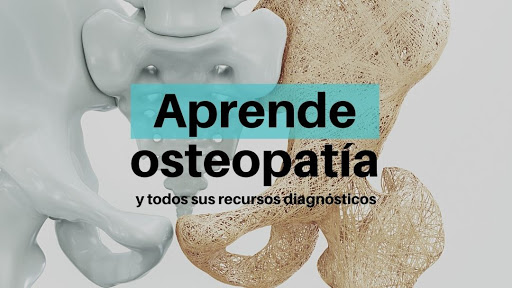 Escuela de Osteopatía de Madrid - EOM Valencia