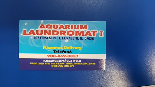 Aquarium Laundromart I