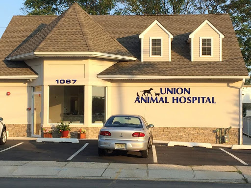 Union Animal Hospital