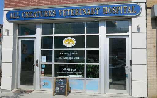 All Creatures Veterinary Hospital of Brooklyn