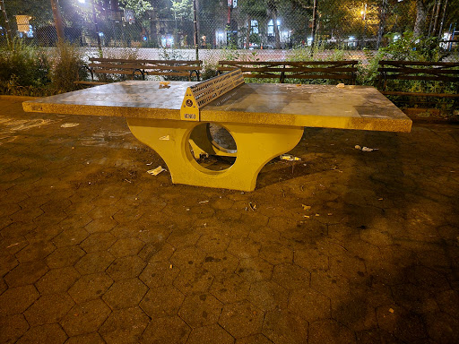 Tompkins Square Park Ping Pong Table (by basketball court))