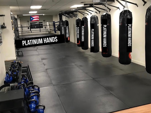 Platinum Hands Boxing