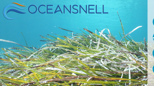 OCEANSNELL - Consultoría Ambiental Marina