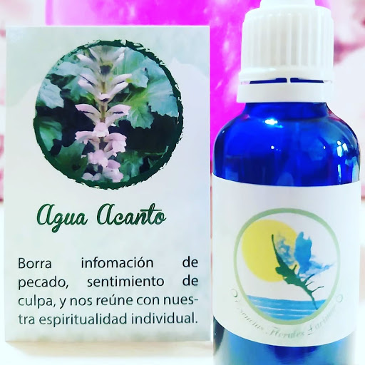 Raquel Cabo - Terapias Naturales - Esencias Florales.SOLO CITA PREVIA