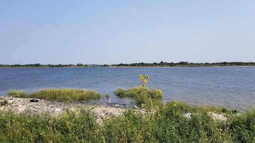 Shirley Chisholm State Park