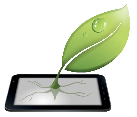 Green Grow Apps SL, Desarrollo web y de Software