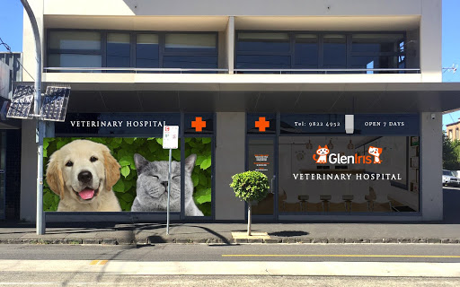 Glen Iris Veterinary Hospital and Cattery