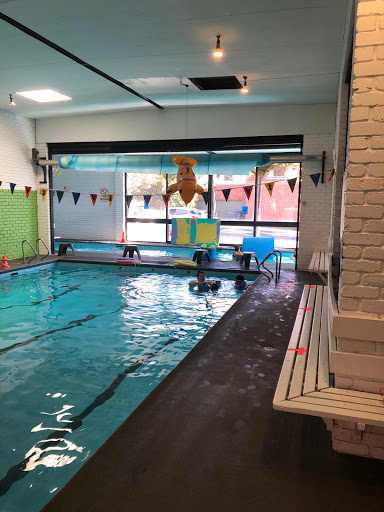 Brighton Swim School Aquatics