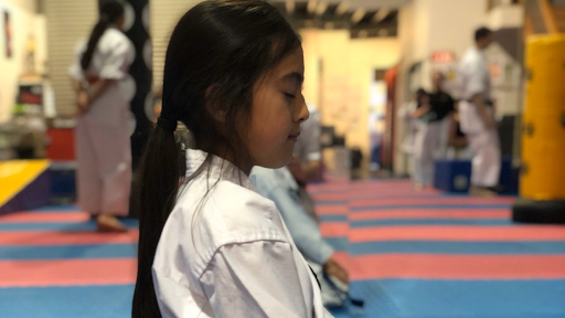 Karate and Ninja School - Tenshi-Do Martial Arts
