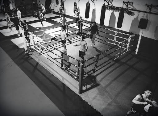 The Ring Gym