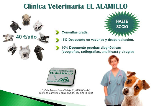 Clínica Veterinaria Alamillo