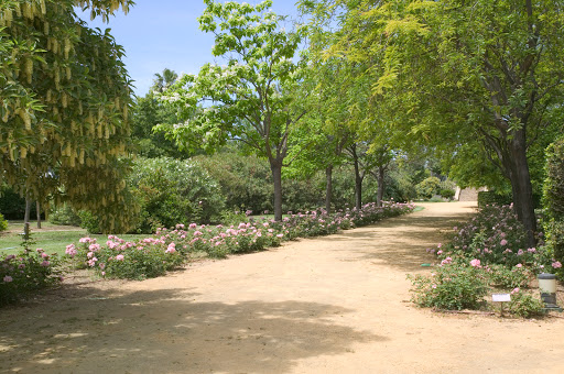 Jardín Botánico El Arboreto