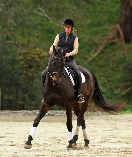 Equine Encounters / Classical Riding Lessons