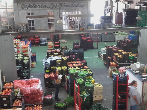 Mercados Centrales de Abastecimiento de Sevilla, MERCASEVILLA S.A.