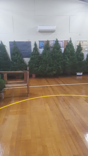 Second Strathmore Scouts Xmas Trees
