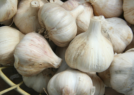 CV Garlic