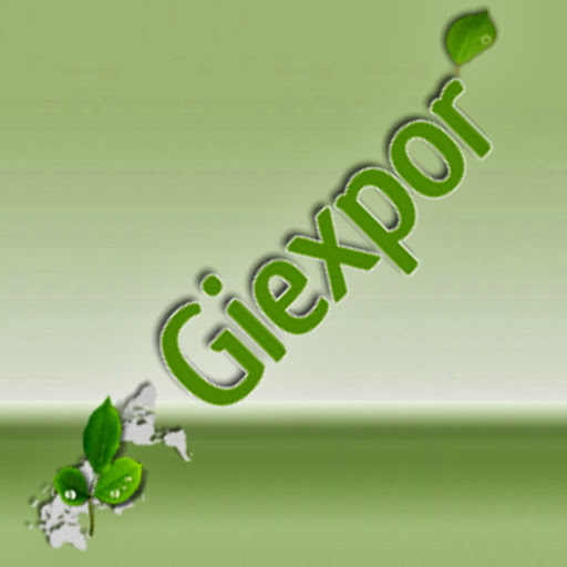 Giexpor