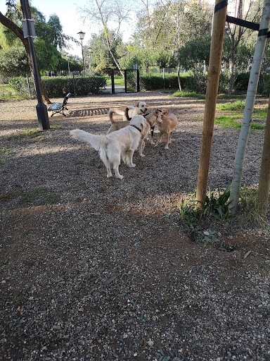 Parque Para Perros