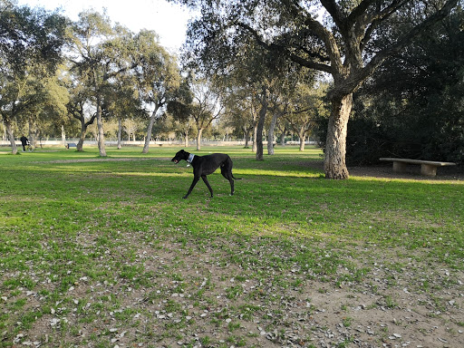 Parque Perros Alamillo