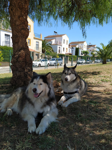 Parque canino el Bodeguero Andaluz