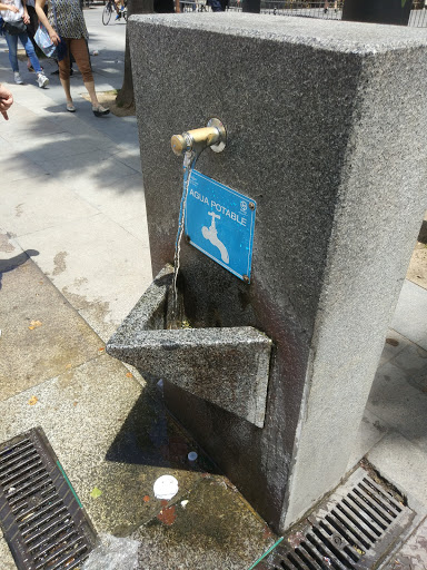 Fuente de Agua Potable