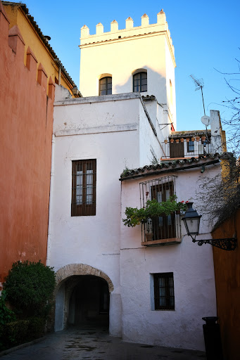 Historical House XIV century Seville