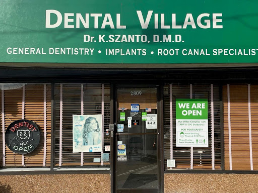Dental Village Associates PC