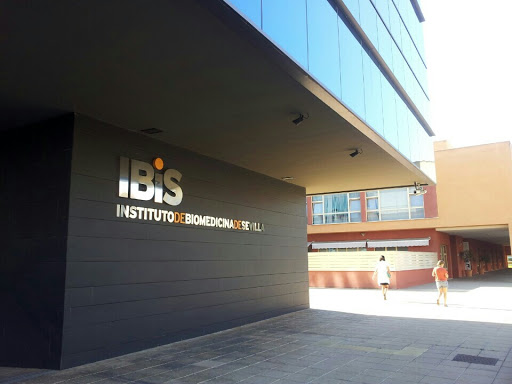 IBIS- Instituto de Biomedicina de Sevilla