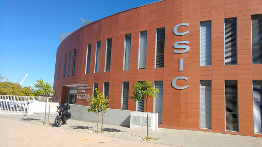 Instituto de Microelectrónica de Sevilla IMSE-CNM