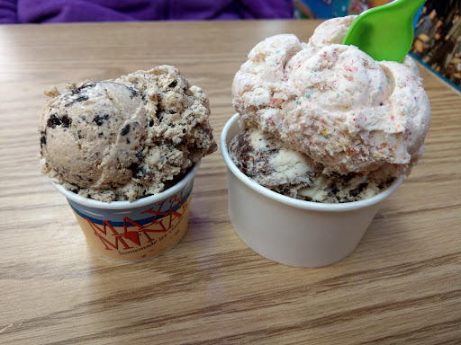 Max & Mina's Ice Cream