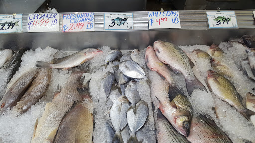 Rainbow Fish Market Inc