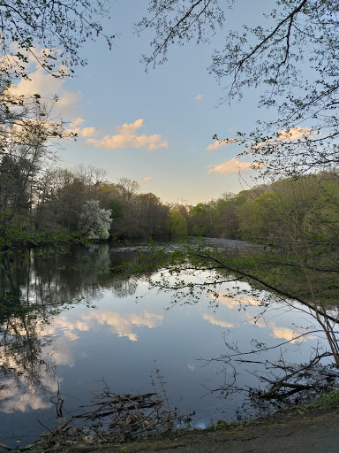 Bronxville Duck Pond