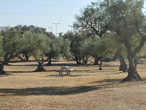 Zona de pícnic Dehesa Doña María