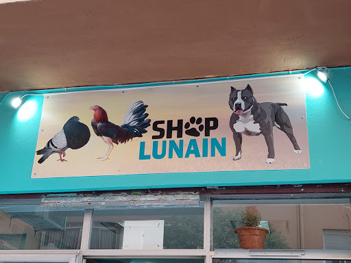 Lunain Shop