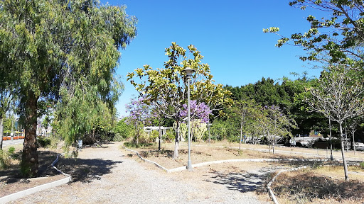 Arboretum UMA