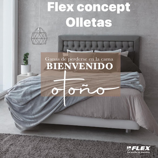 Flex concept Málaga Olletas
