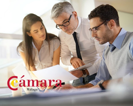 Master MBA de la Cámara de Comercio de Málaga - Master en Administración de Empresas