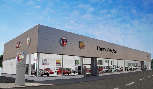 Torino Motor S A