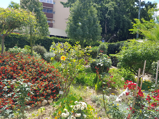 Jardín de Gamarra
