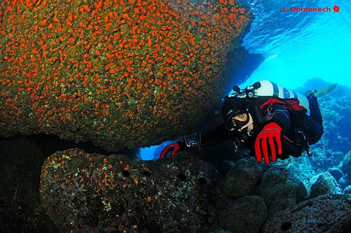 Centro de buceo Sea Diver