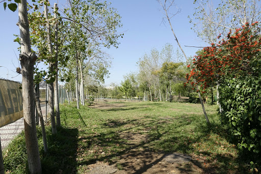 Parque Canino Escuela Canina Quercus
