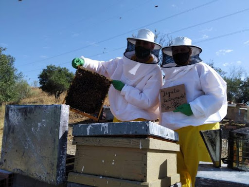 Mieles.net - Mieles de Abeja, producción propia, naturales, crudas, puras, 100 % artesanales. Cursos de apicultura, adopta una colmena.