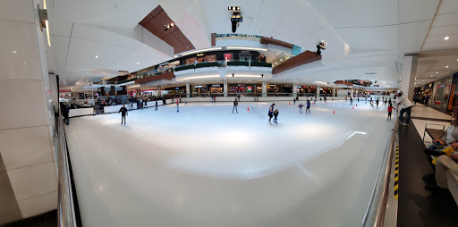 Ice at the Galleria